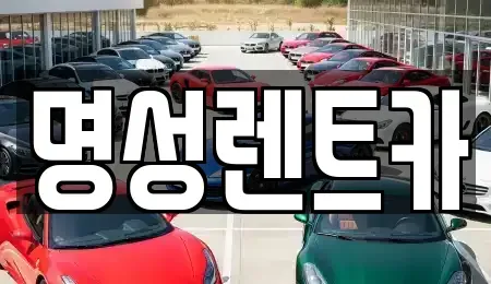 경기 남양주시 금곡동 렌트카 전문 명성렌트카