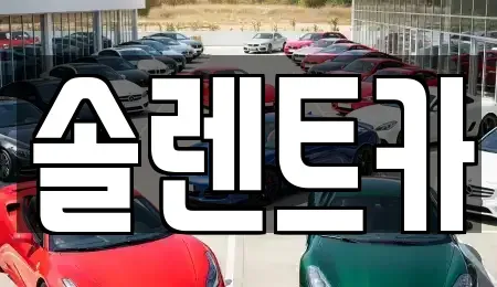 경기 남양주시 금곡동 렌트카 전문 솔렌트카