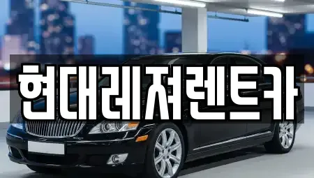 경기 남양주시 금곡동 렌트카 전문 현대레져렌트카
