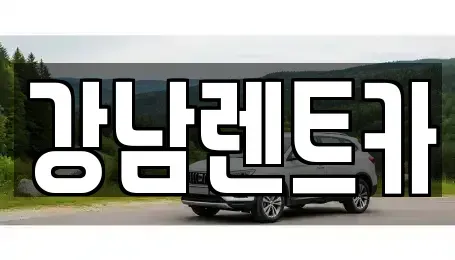 경기 남양주시 금곡동 장기렌트카 전문 강남렌트카