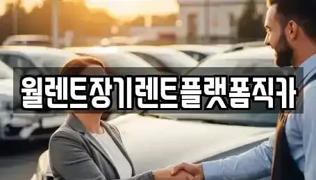 경기 남양주시 금곡동 장기렌트카 전문 월렌트장기렌트플랫폼직카