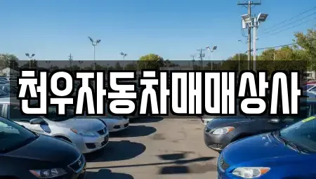 경기 남양주시 금곡동 중고차 전문 천우자동차매매상사