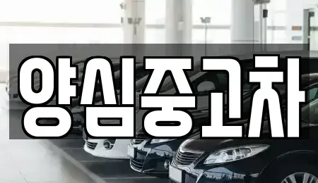 경기 남양주시 수동면 중고차 전문 양심중고차