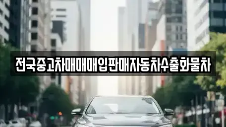 경기 남양주시 수동면 중고차매입 전문 전국중고차매매매입판매자동차수출화물차