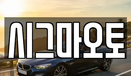 경기 부천시 오정구 단기렌트카 전문 시그마오토
