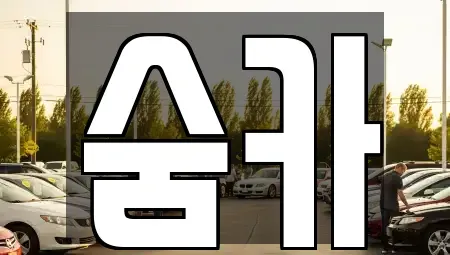 경기 부천시 오정구 중고차 전문 숨카