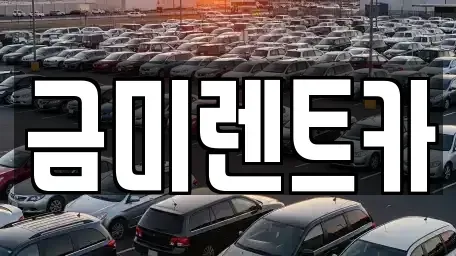 경기 부천시 원미구 춘의동 렌트카 전문 금미렌트카