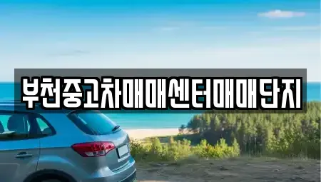 경기 부천시 원미구 춘의동 중고차 전문 부천중고차매매센터매매단지