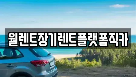 경기 성남시 수정구 금토동 렌트카 전문 월렌트장기렌트플랫폼직카