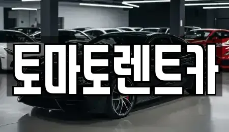 경기 성남시 수정구 금토동 렌트카 전문 토마토렌트카