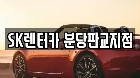 경기 성남시 수정구 금토동 장기렌트카 전문 SK렌터카 분당판교지점