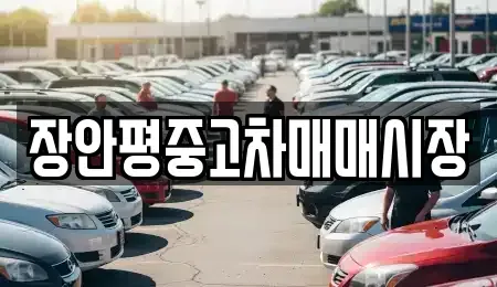 경기 성남시 수정구 금토동 중고차매매 전문 장안평중고차매매시장