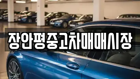 경기 성남시 중원구 도촌동 중고차매매 전문 장안평중고차매매시장
