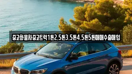 경기 성남시 중원구 도촌동 중고차매입 전문 중고화물차중고트럭1톤2.5톤3.5톤4.5톤5톤매매수출매입