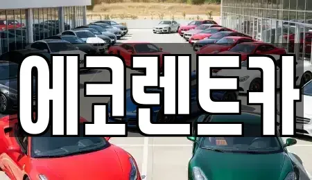 경기 수원시 권선구 오목천동 장기렌트카 전문 에코렌트카