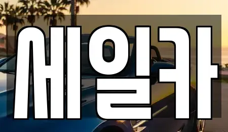 경기 수원시 권선구 오목천동 중고차 전문 세일카