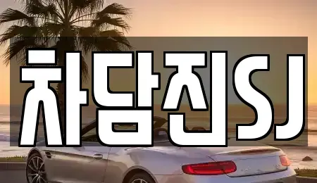 경기 수원시 권선구 오목천동 중고차 전문 차담진SJ
