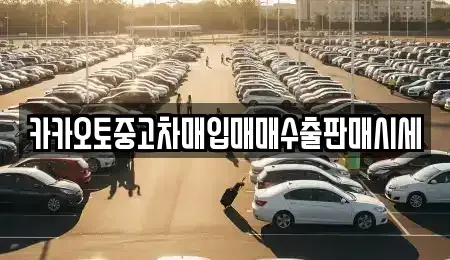 경기 수원시 권선구 오목천동 중고차매입 전문 카카오토중고차매입매매수출판매시세