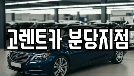 경기 수원시 단기렌트카 전문 고렌트카 분당지점