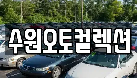 경기 수원시 중고차 전문 수원오토컬렉션