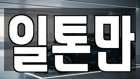 경기 수원시 중고차 전문 일톤만