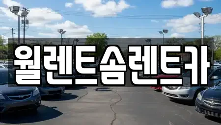 경기 수원시 팔달구 매교동 렌트카 전문 월렌트솜렌트카