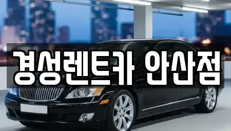 경기 안산시 단원구 선부동 렌트카 전문 경성렌트카 안산점