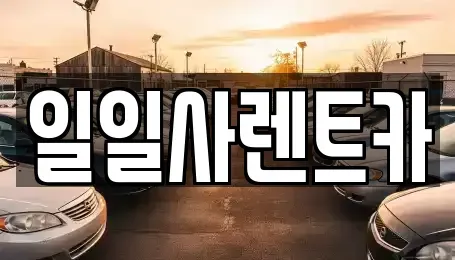 경기 안산시 단원구 선부동 렌트카 전문 일일사렌트카