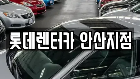 경기 안산시 상록구 성포동 단기렌트카,중고차매입,중고차매매,중고차,렌트카,장기렌트카