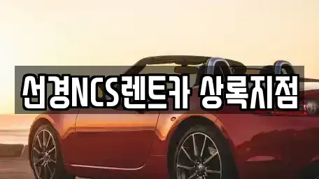 경기 안산시 상록구 성포동 단기렌트카 전문 선경NCS렌트카 상록지점