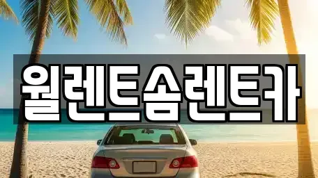 경기 안산시 상록구 성포동 렌트카 전문 월렌트솜렌트카