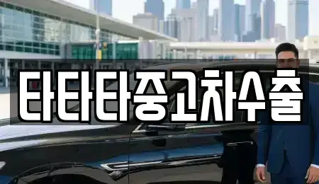 경기 안산시 상록구 성포동 중고차매매 전문 타타타중고차수출
