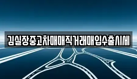 경기 안산시 상록구 성포동 중고차매입 전문 김실장중고차매매직거래매입수출시세