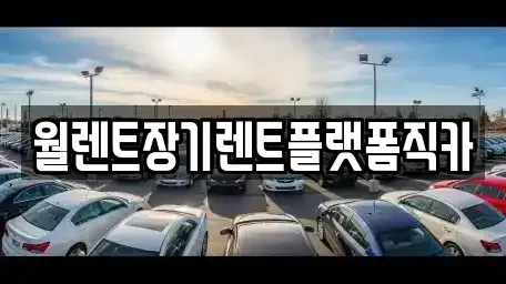 경기 안성시 낙원동 렌트카 전문 월렌트장기렌트플랫폼직카