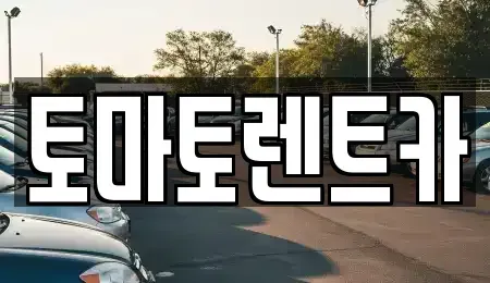 경기 안성시 낙원동 렌트카 전문 토마토렌트카