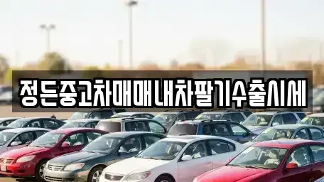 경기 안성시 낙원동 중고차 전문 정든중고차매매내차팔기수출시세