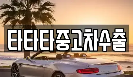 경기 안성시 낙원동 중고차 전문 타타타중고차수출