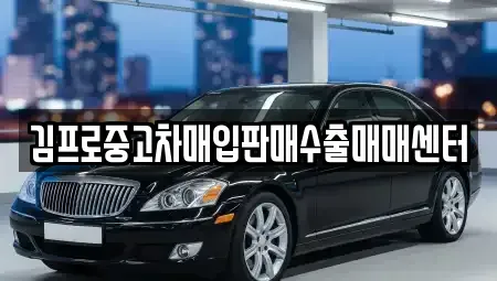 경기 안성시 낙원동 중고차매매 전문 김프로중고차매입판매수출매매센터