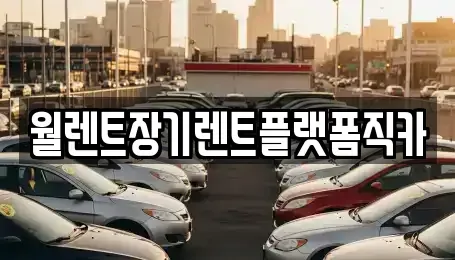 경기 안성시 창전동 렌트카 전문 월렌트장기렌트플랫폼직카