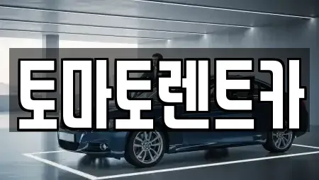 경기 안성시 창전동 렌트카 전문 토마토렌트카