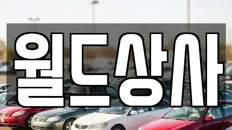경기 안성시 창전동 중고차매매 전문 월드상사