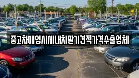 경기 안성시 창전동 중고차매입 전문 중고차매입시세내차팔기견적가격수출업체