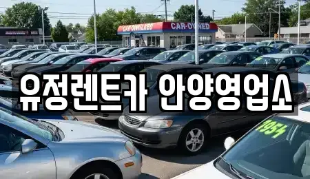 경기 안양시 동안구 호계동 렌트카 전문 유정렌트카 안양영업소