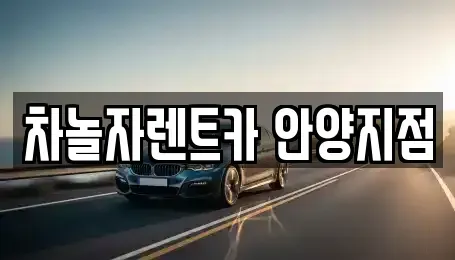 경기 안양시 동안구 호계동 렌트카 전문 차놀자렌트카 안양지점