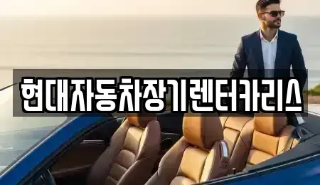 경기 안양시 동안구 호계동 장기렌트카 전문 현대자동차장기렌터카리스
