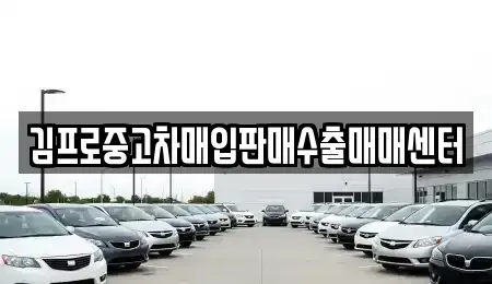 경기 안양시 동안구 호계동 중고차매입 전문 김프로중고차매입판매수출매매센터