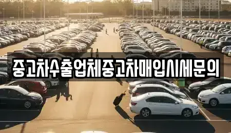 경기 안양시 동안구 호계동 중고차매입 전문 중고차수출업체중고차매입시세문의