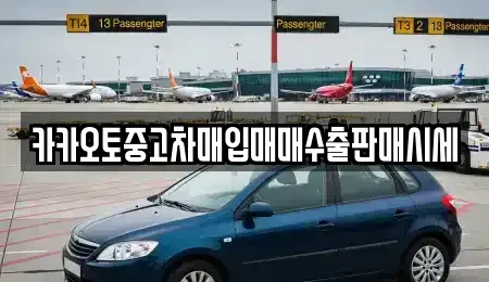 경기 안양시 동안구 호계동 중고차매입 전문 카카오토중고차매입매매수출판매시세
