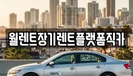 경기 양주시 장흥면 장기렌트카 전문 월렌트장기렌트플랫폼직카