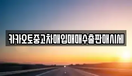경기 양주시 장흥면 중고차매입 전문 카카오토중고차매입매매수출판매시세